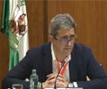 El Parlamento Andaluz acepta la propuesta de la FAC de blindar la caza ante posibles rebrotes del Covid-19